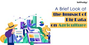 A Brief Look at the Impact of Big Data on Agriculture