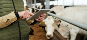 Sustainable Livestock Farming: The Perks of Digitalization