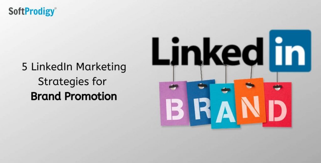 Top 5 LinkedIn Marketing Strategies for Your Brand Promotion