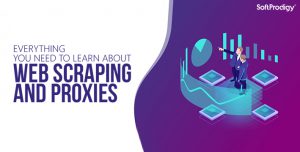 Everything You Need To Learn About Web Scrapping And Proxies