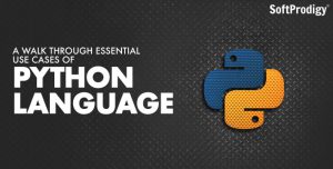 A Walk through Essential Use Cases of Python Language