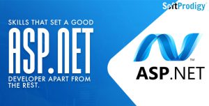 Skills that Make an ASP.NET developer Stand out from the Crowd