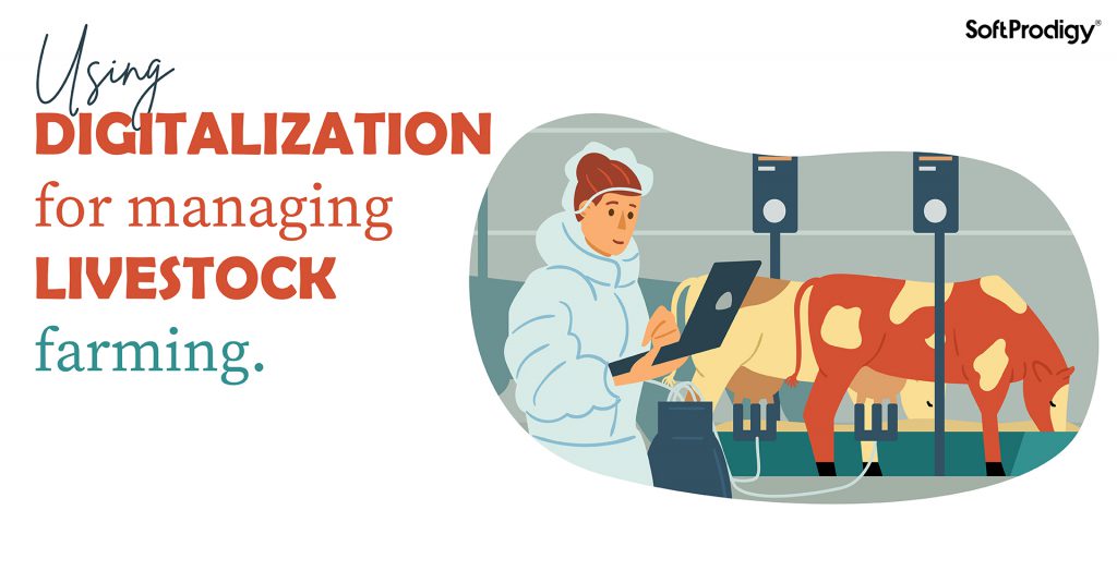Sustainable Livestock Farming: The Perks of Digitalization
