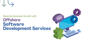 Maximize Business Growth with Offshore Software Development Services